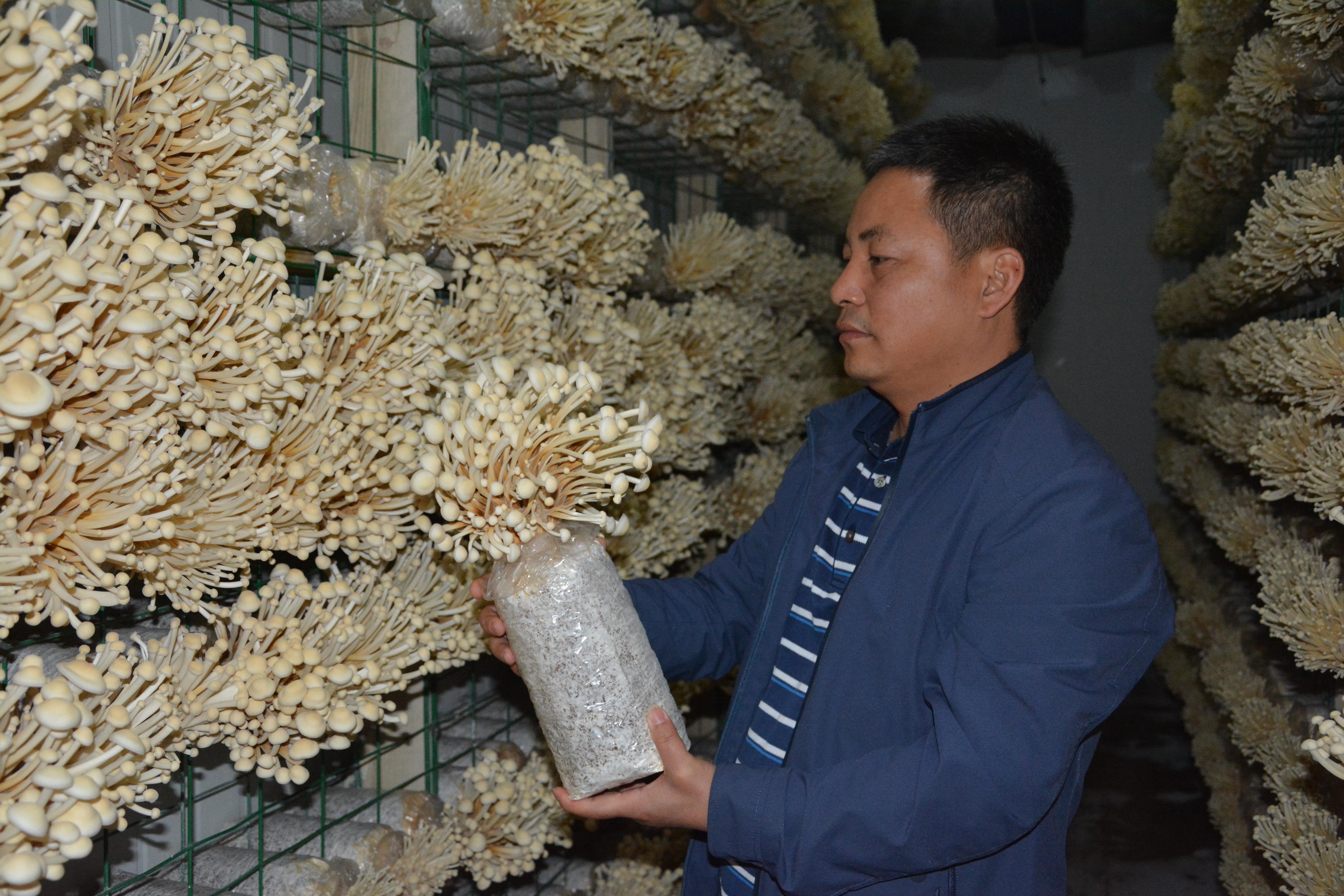 陸良縣保溫材料廠家，品質(zhì)卓越，引領(lǐng)行業(yè)新潮流