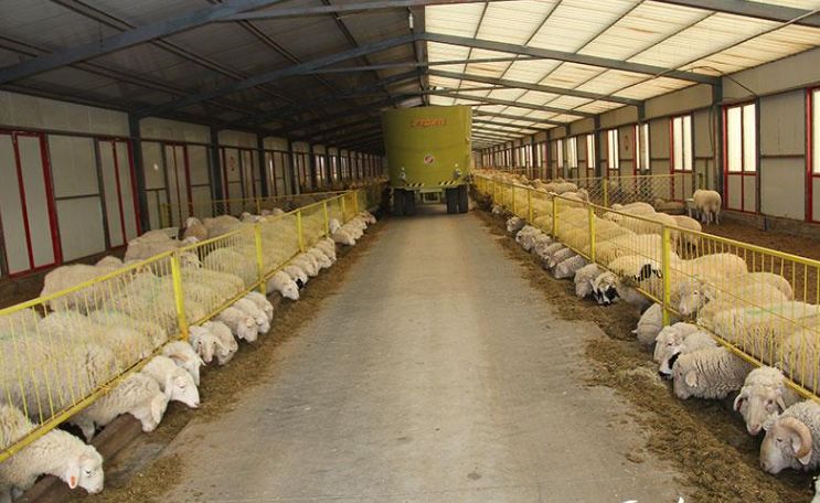 羊范地區(qū)保溫材料廠的蓬勃興起與穩(wěn)健發(fā)展之路