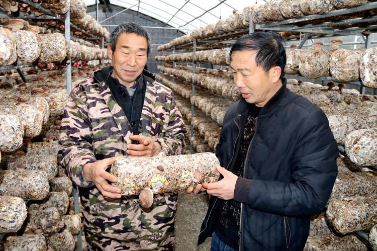 下雨天氣能否進(jìn)行保溫材料的施工與應(yīng)用