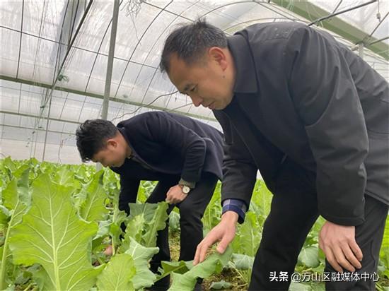 興隆縣保溫材料廠家電話，探尋優(yōu)質(zhì)保溫材料的源頭聯(lián)系