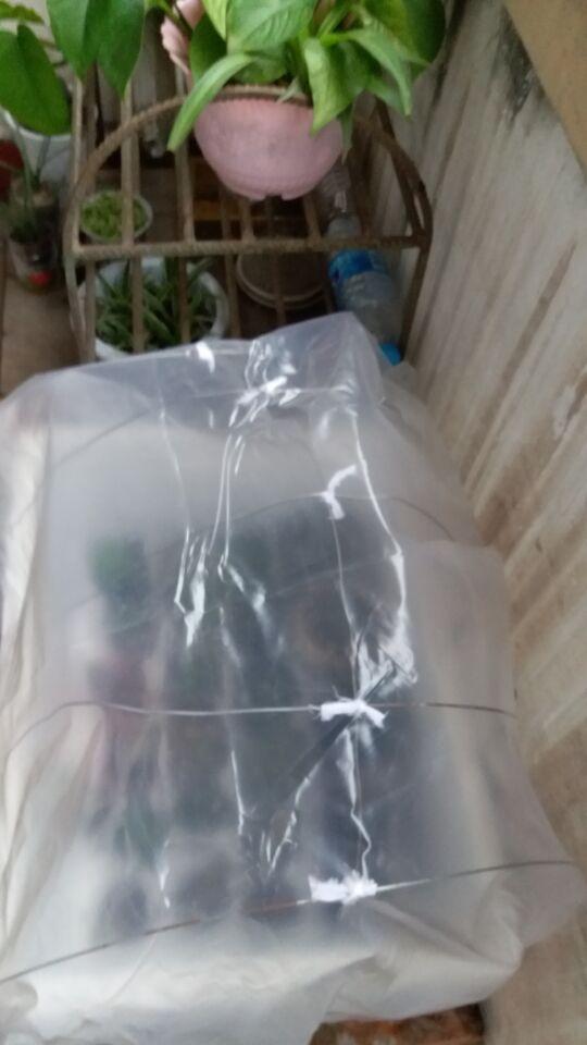 平凡中的英雄，賣保溫材料小哥哥的勵(lì)志故事