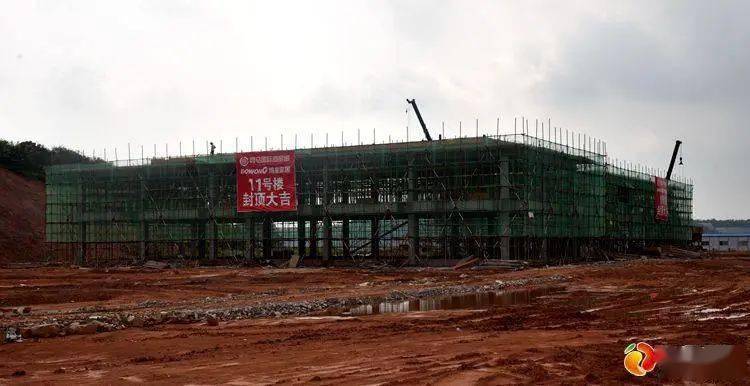 鳳陽縣大青郢保溫材料廠的騰飛之路
