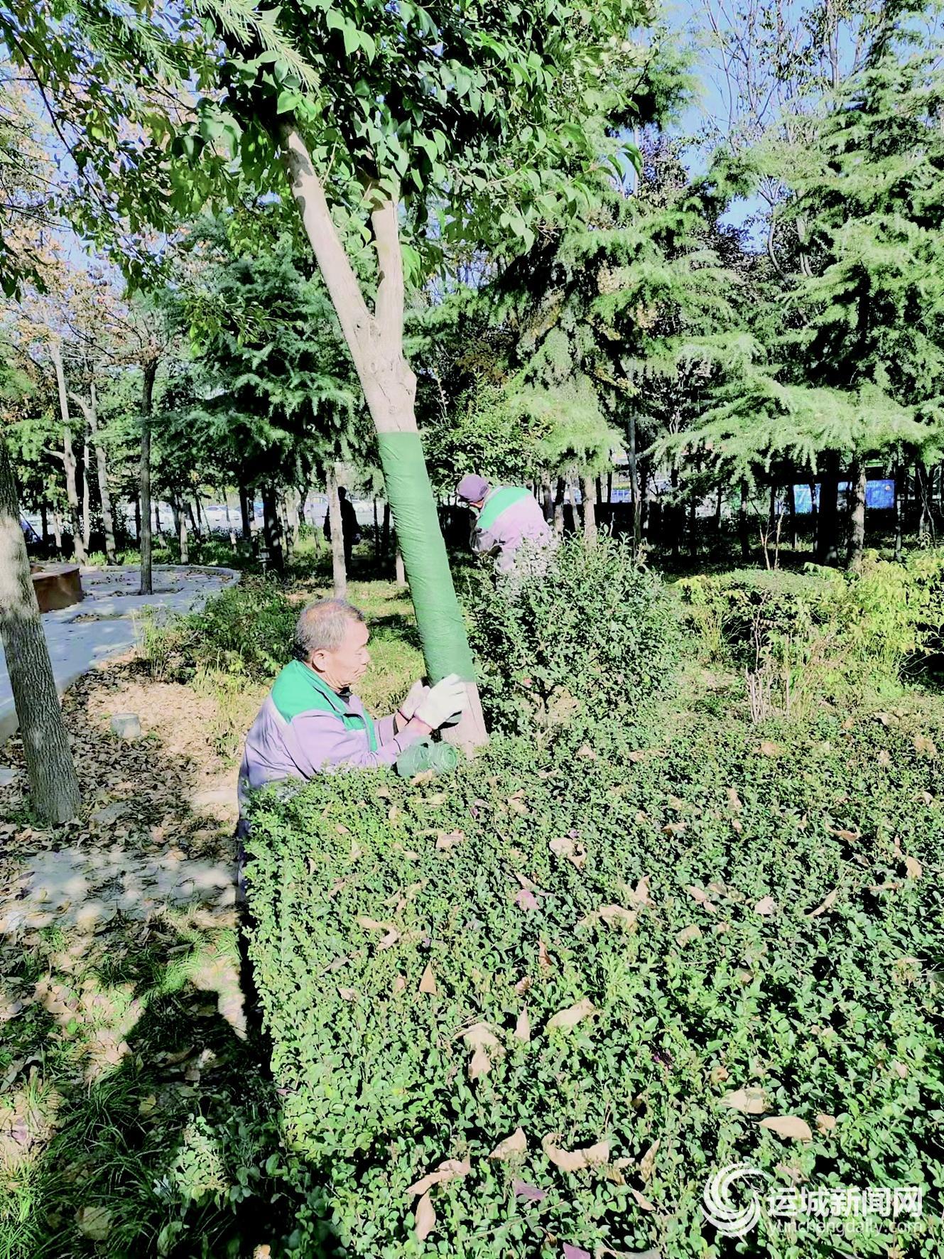 運(yùn)城市墻內(nèi)保溫材料廠家深度解析，專業(yè)解讀與探討
