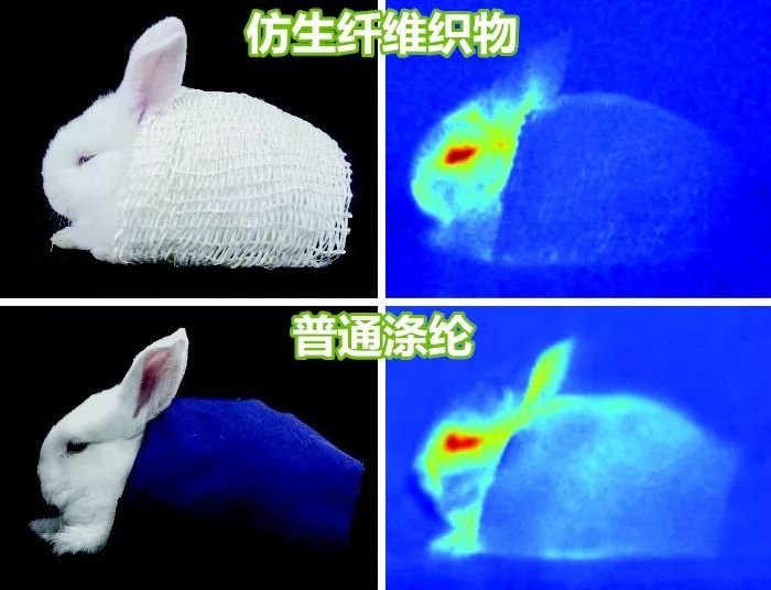 仿北極熊保溫材料性能深度解析與應(yīng)用前景展望