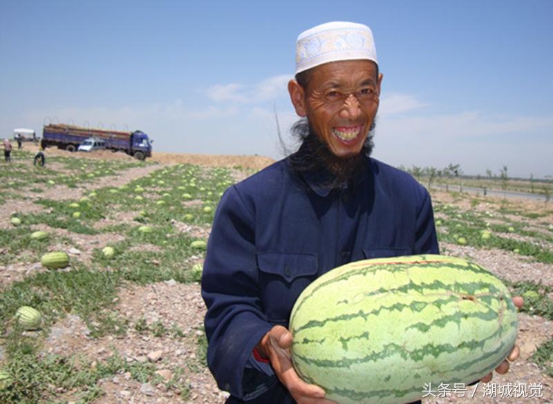 寧夏保溫材料有限公司——優(yōu)質(zhì)保溫解決方案的領(lǐng)先者