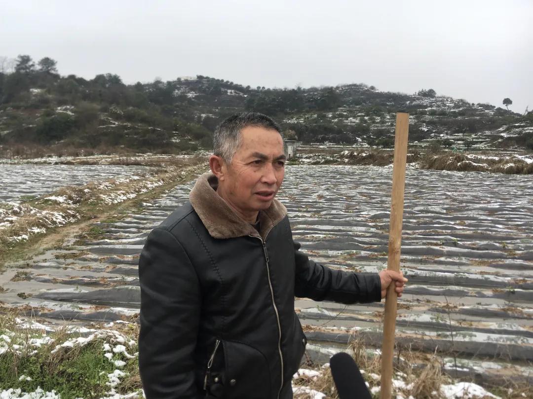 徐水區(qū)供熱管保溫材料廠家全面解析
