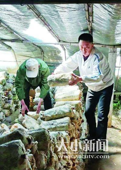 萊州市室外保溫材料廠家深度解析