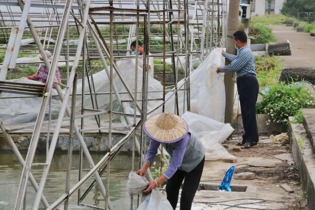 番禺區(qū)保溫材料批發(fā)市場，商業(yè)繁榮與多樣選擇之地