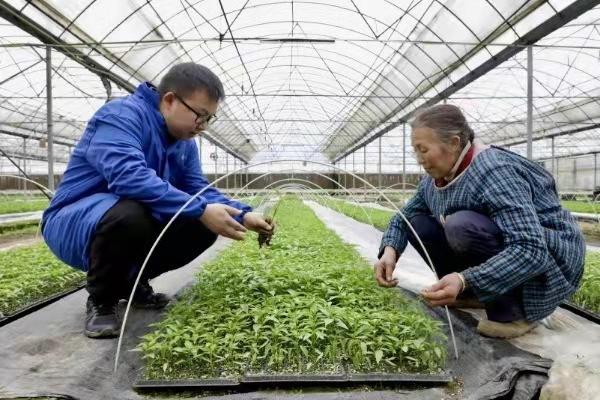 選購保溫材料一站式服務(wù)，打造高效節(jié)能的建筑環(huán)境