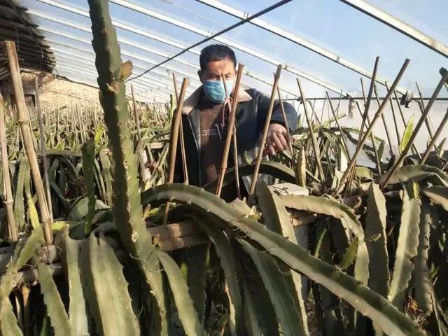 肅寧縣保溫材料批發(fā)市場，繁榮商貿(mào)與無限商機(jī)之地