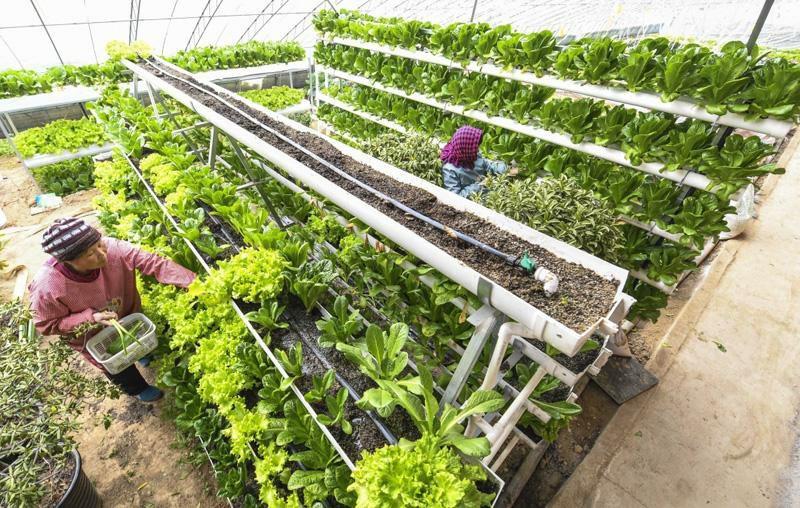 燃燒性能等級A級保溫材料，現(xiàn)代建筑領域的新寵