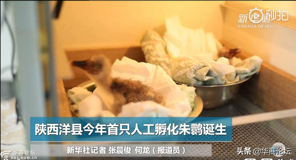 陜西省保溫材料生產(chǎn)廠家的現(xiàn)狀與發(fā)展趨勢