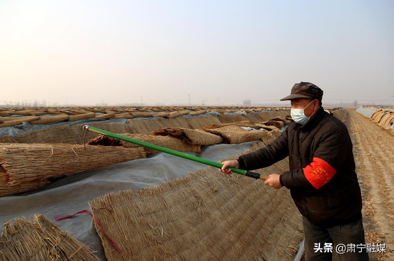 肅寧縣內(nèi)墻保溫材料廠家，品質(zhì)與創(chuàng)新的并行之路