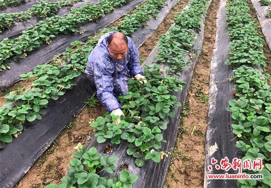 六安保溫材料門市地址電話，一站式保溫材料解決方案的專業(yè)門戶