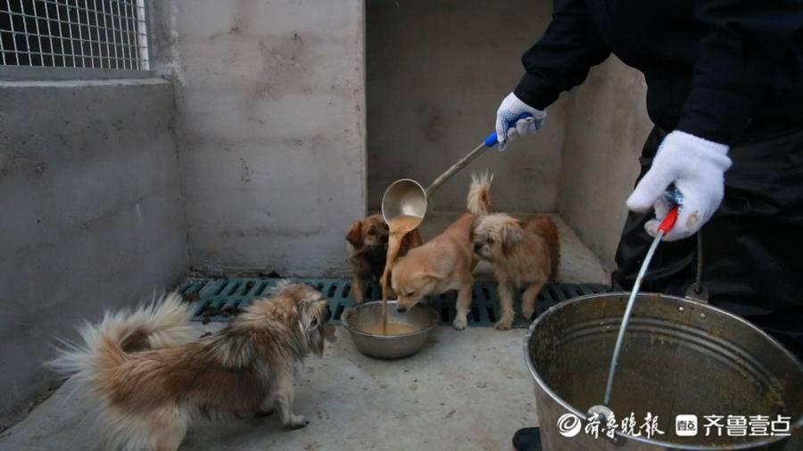 保溫材料檢測的重要性及其送檢頻率