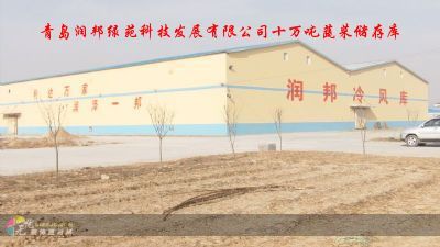 安丘市華峰保溫材料廠的卓越之路