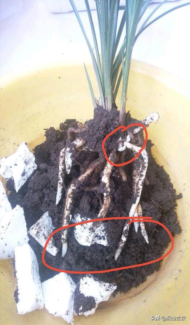 保溫材料翻包工藝流程圖及其相關解析