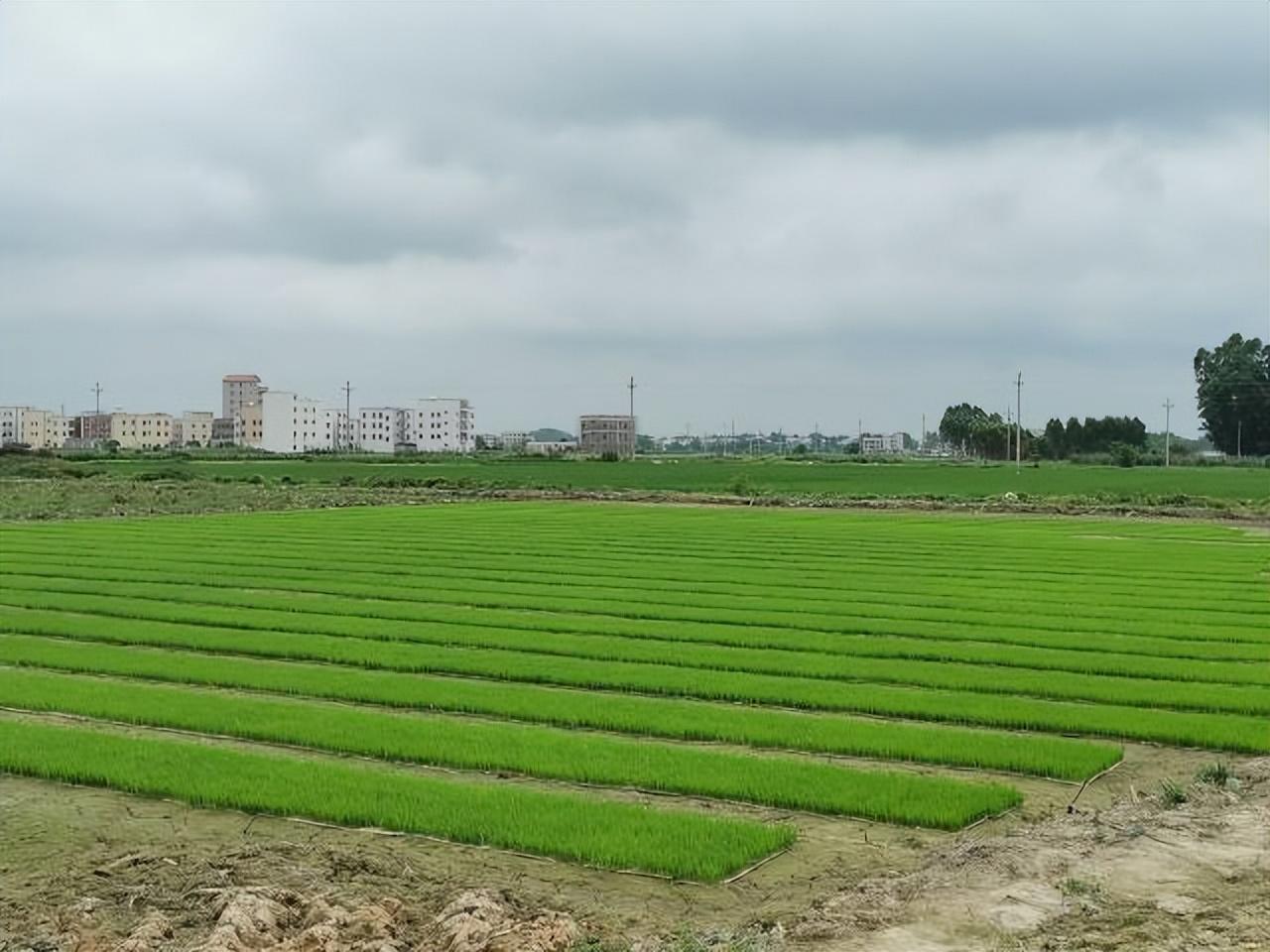化州縣同慶保溫材料廠的詳細(xì)地址及其周邊環(huán)境與業(yè)務(wù)概述