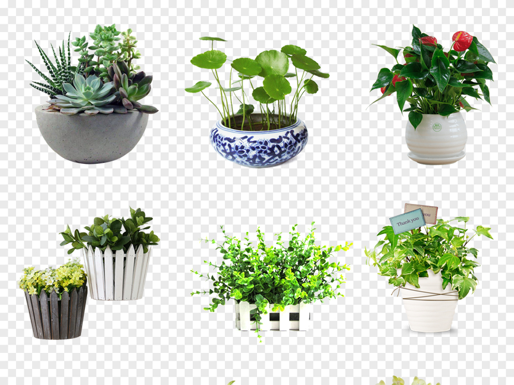 綠植作為保溫材料的研究與應(yīng)用探討