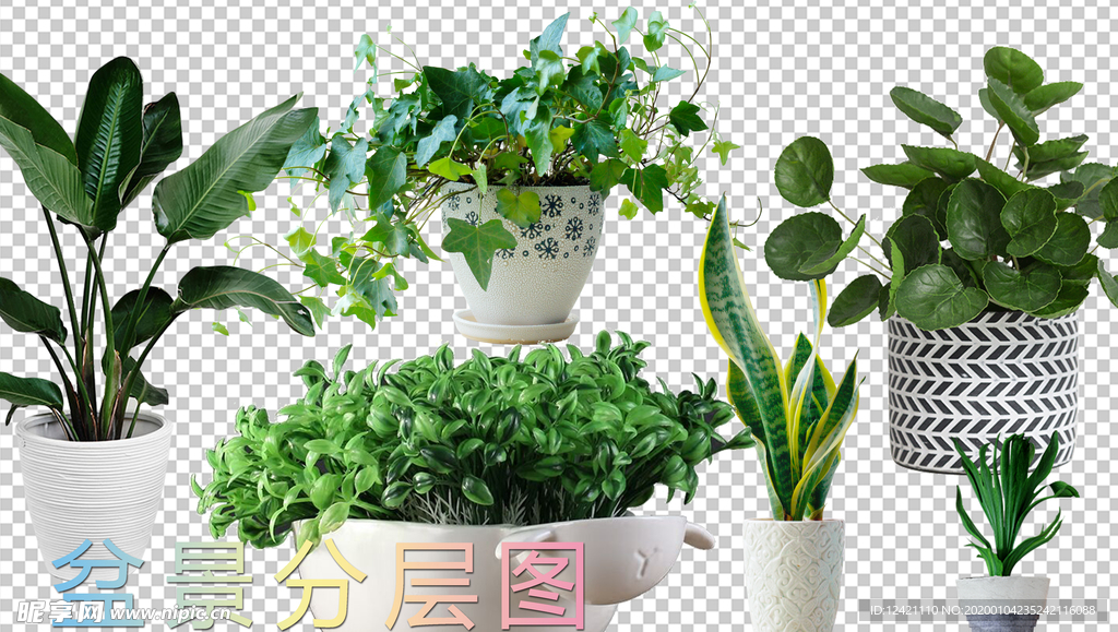 綠植作為保溫材料的研究與應(yīng)用
