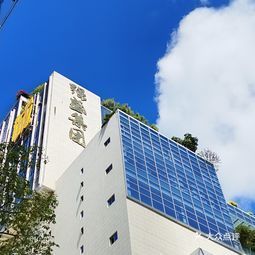 玖益保溫材料有限公司探秘，優(yōu)質(zhì)保溫材料源頭之旅