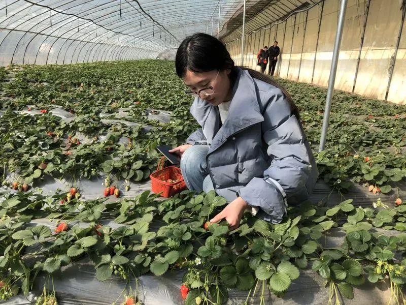 雙廟保溫材料批發(fā)市場聯(lián)系方式，一站式滿足您的保溫材料需求