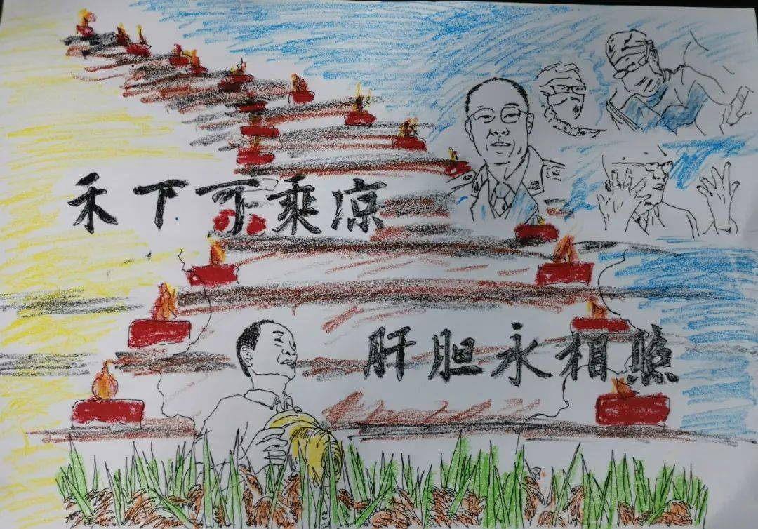 雙層貓窩中的保溫材料應(yīng)用優(yōu)勢(shì)探究