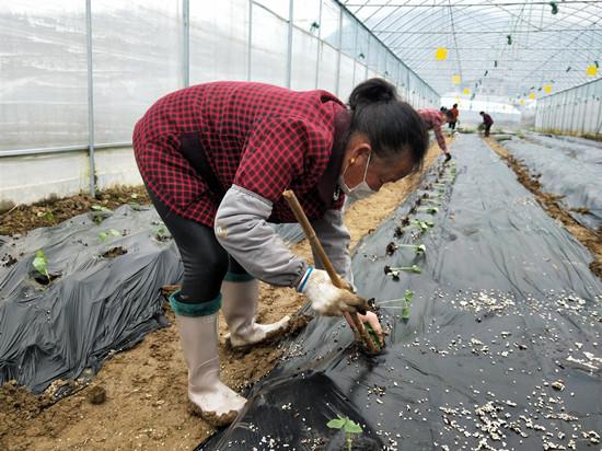 萬山特區(qū)保溫材料廠家，行業(yè)先鋒，優(yōu)質(zhì)保溫材料新標(biāo)桿