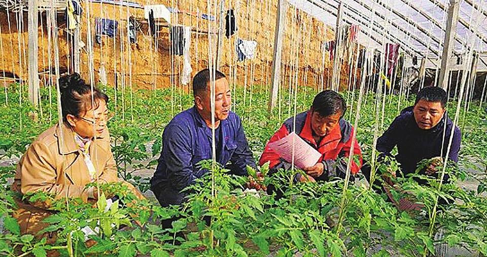 長治保溫材料推薦信息網(wǎng)——您值得信賴的保溫材料選擇平臺