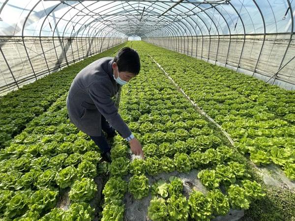青浦區(qū)優(yōu)質(zhì)保溫材料廠的卓越之路