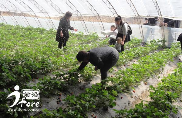 北辰墻體保溫材料廠家聯(lián)系方式，一站式解決方案提供商