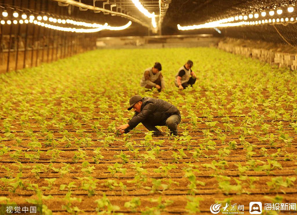 山東臨沂市保溫材料廠的卓越成就與發(fā)展前景