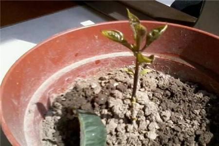 保溫材料的透氣性如何，探究其性能與實際應(yīng)用
