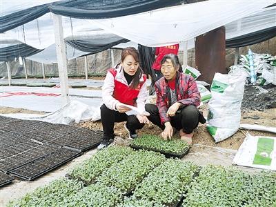 郟縣防腐保溫材料廠家聯(lián)系方式及一站式解決方案服務(wù)介紹