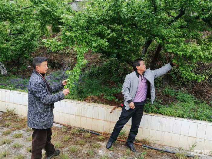農(nóng)作物保溫材料價格表與市場分析概覽