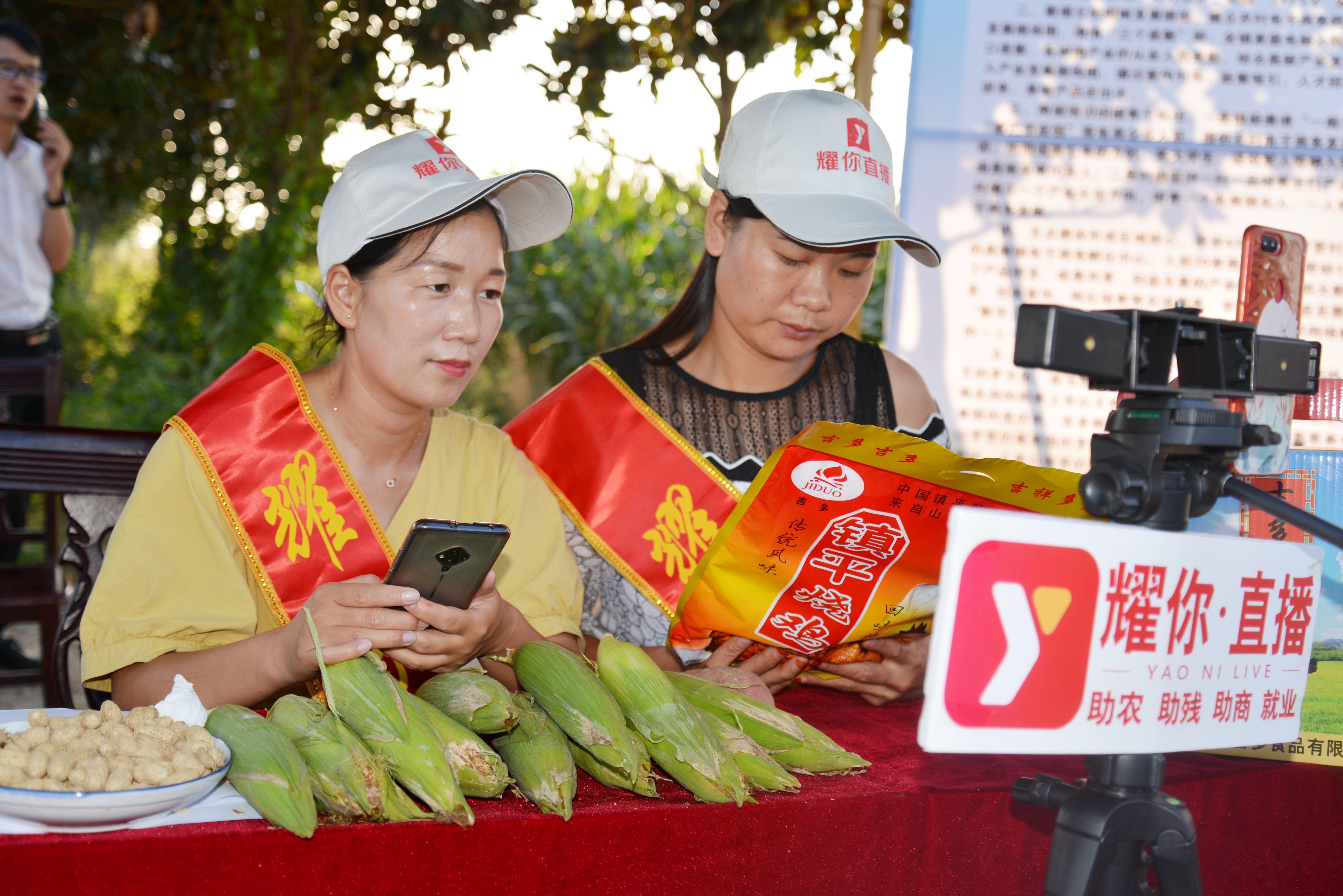 觀賞魚保溫材料的意義與解析