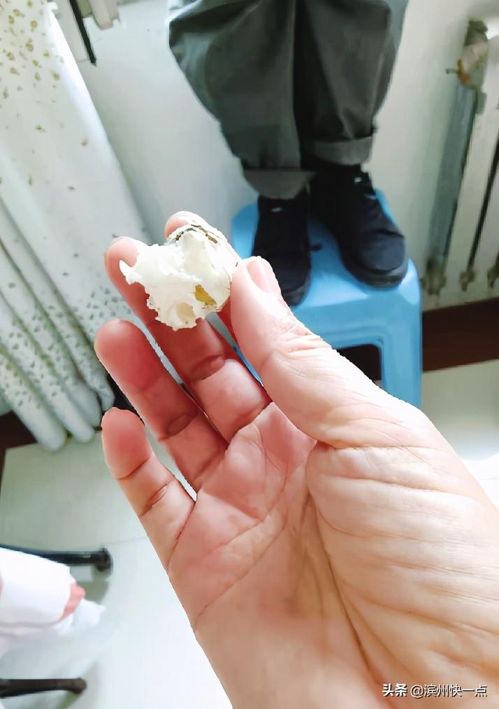 濱州保溫材料價(jià)格實(shí)時(shí)查詢，一站式窗口了解保溫材料現(xiàn)貨行情