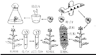 保溫材料科學(xué)題怎么做