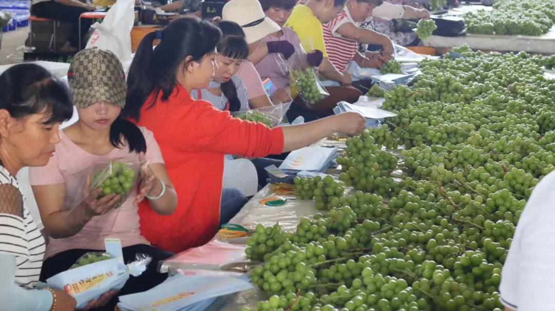 保溫材料重量揭秘，探究多方因素影響保溫材料重量