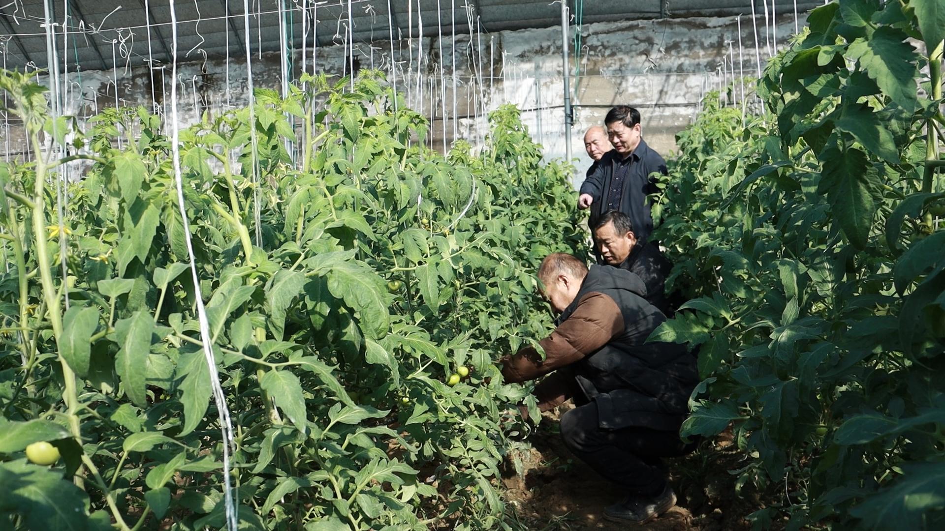 獻(xiàn)禮祖國華誕，保溫材料行業(yè)的力量展現(xiàn)與未來展望