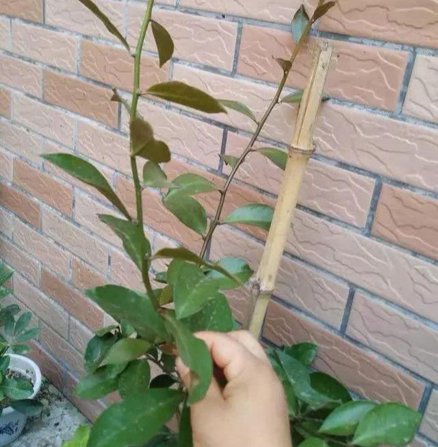 神木市保溫材料廠聯(lián)系信息詳解