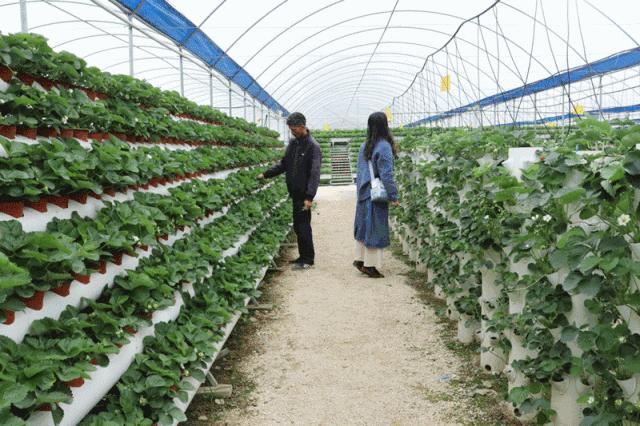 關(guān)于3M保溫材料公司的深度解析