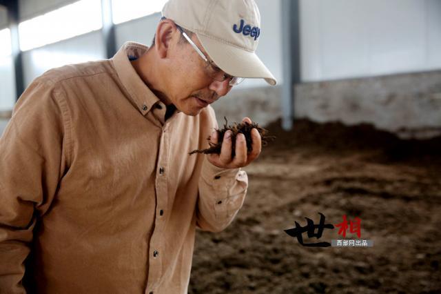 榆林內(nèi)外墻保溫材料廠家深度解析