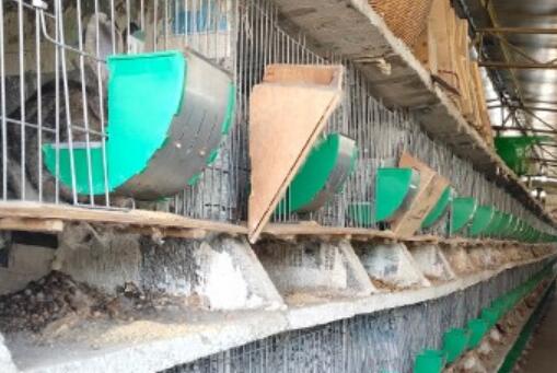 寧津縣屋頂保溫材料廠聯(lián)系信息全解析