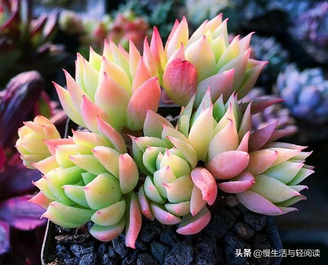保溫材料注膠工藝流程圖詳解