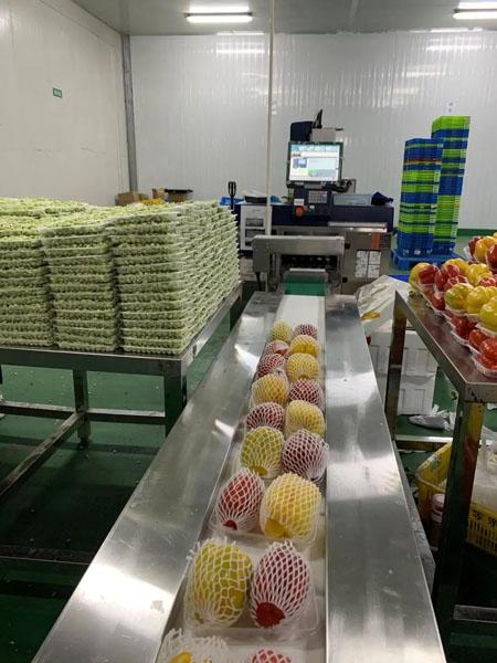 青浦區(qū)保溫材料費(fèi)用深度解析，成本與費(fèi)用因素探討