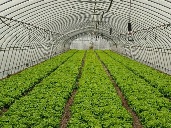 青浦區(qū)保溫材料費(fèi)用多少，深度解析保溫材料成本與費(fèi)用因素