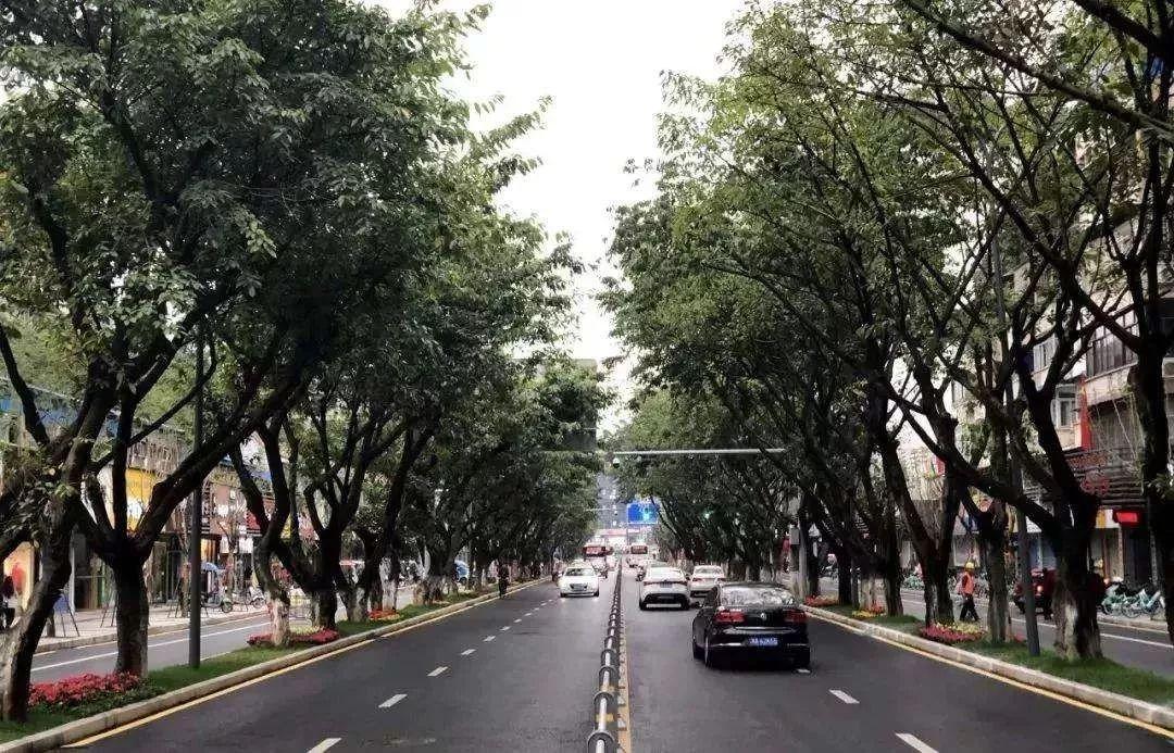 南充市保溫材料批發(fā)市場，繁榮的市場與未來的展望