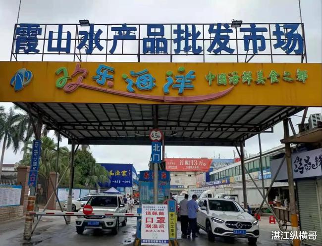 湛江海田保溫材料批發(fā)市場，繁榮的商貿(mào)中心與保溫材料的交匯點