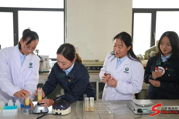 中溫庫保溫材料價(jià)格表及其市場分析
